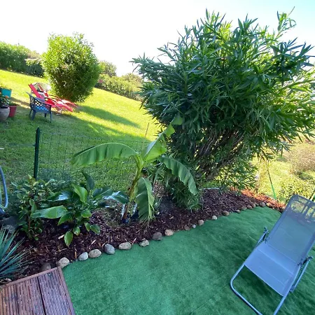 Les Pieds Dans L Eau De Betty 50 M *