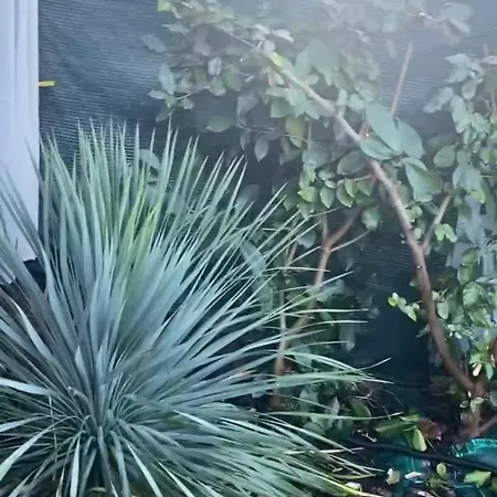 Les Pieds Dans L Eau De Betty 50 M Ghisonaccia