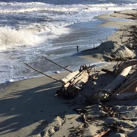 Les Pieds Dans L Eau De Betty 50 M *