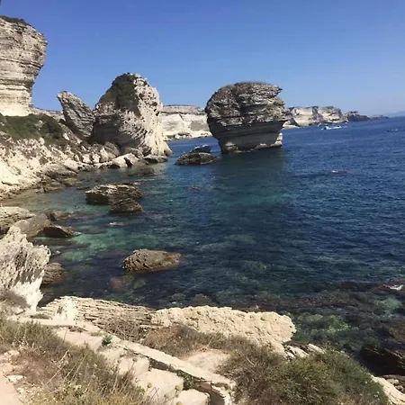 Les Pieds Dans L Eau De Betty 50 M Διαμέρισμα Ghisonaccia