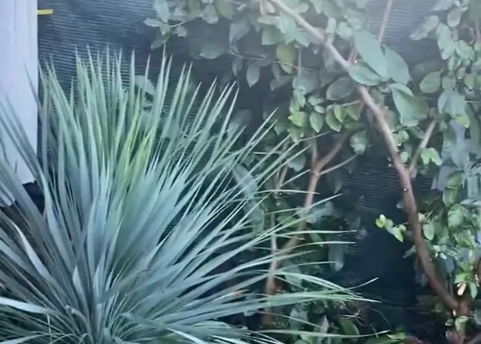 Les Pieds Dans L Eau De Betty 50 M Ghisonaccia