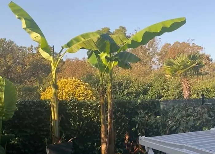 Les Pieds Dans L Eau De Betty 50 M Appartement *