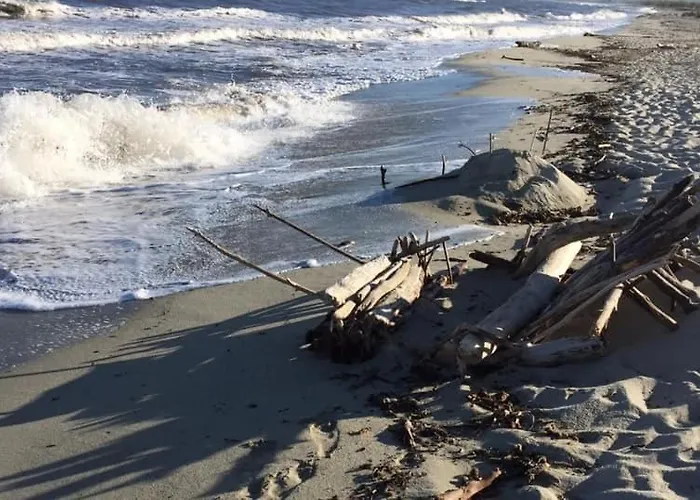 Les Pieds Dans L Eau De Betty 50 M *
