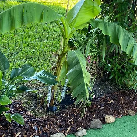 Les Pieds Dans L Eau De Betty 50 M * Ghisonaccia