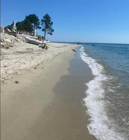 Les Pieds Dans L Eau De Betty 50 M *