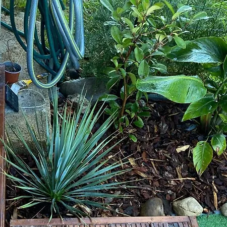 アパート Les Pieds Dans L Eau De Betty 50 M ギソナクシア