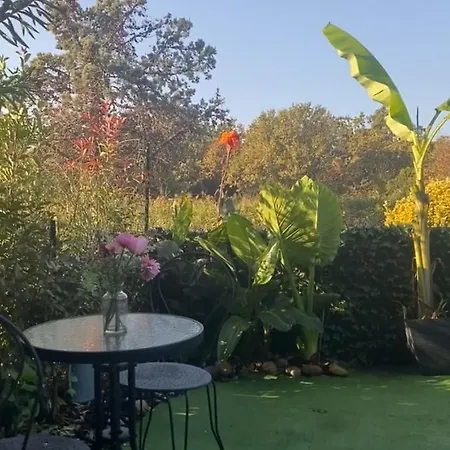 Lägenhet Les Pieds Dans L Eau De Betty 50 M