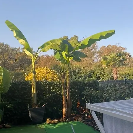 Les Pieds Dans L Eau De Betty 50 M Lägenhet *