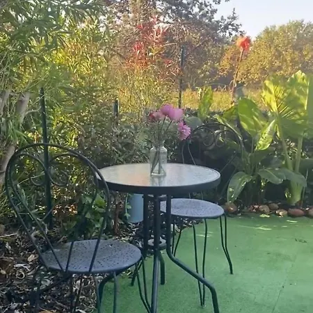 Les Pieds Dans L Eau De Betty 50 M Lägenhet Ghisonaccia