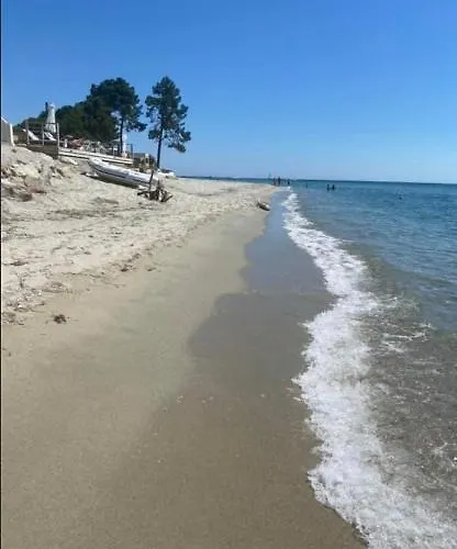 Les Pieds Dans L Eau De Betty 50 M *