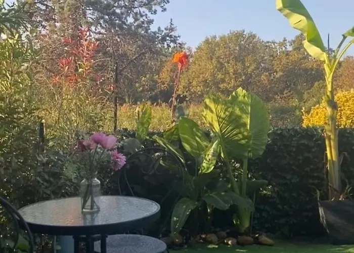 Apartment Les Pieds Dans L Eau De Betty 50 M