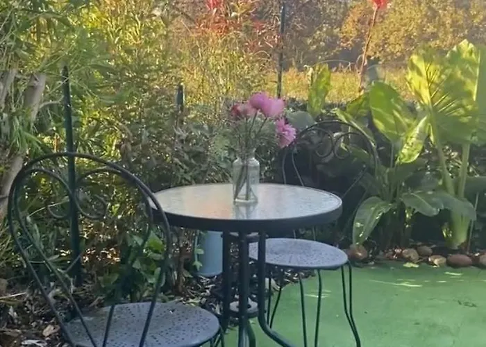 Les Pieds Dans L Eau De Betty 50 M Apartment Ghisonaccia